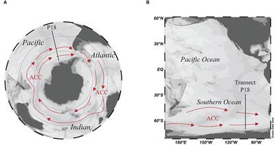 Anomalous DOC signatures reveal iron control on export dynamics in the Pacific Southern Ocean